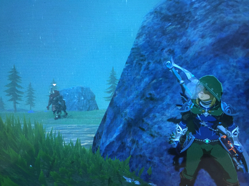 Illustration for article titled Here are Some of my Favorite Screenshots from The Legend of Zelda: Breath of the Wild